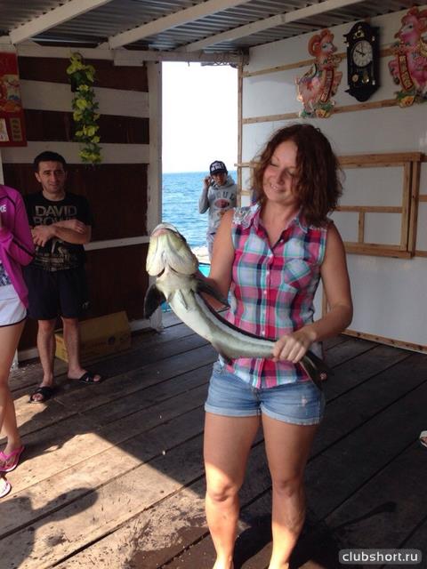 33111_vkhc6tzi4pw.jpg